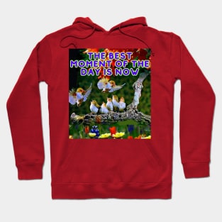 Quote positive and birds Hoodie